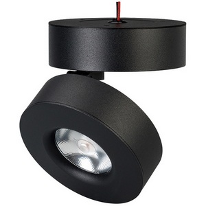 LED спот SP-MONA-SURFACE-R100-12W Warm3000 (BK, 24 deg) (Arlight, IP40 Металл, 3 года) 025443(1)