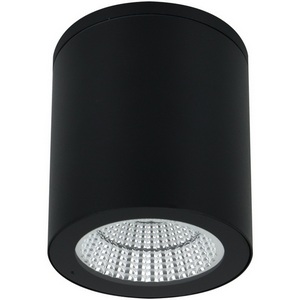 Уличные потолочные светильник IP65 светодиодный Arte Lamp Torcular A1813PF-1BK