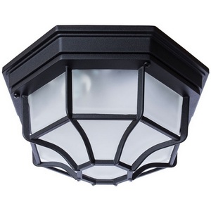 Уличный потолочный светильник IP44 Arte Lamp Pegasus A3100PL-1BK