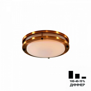 Настенно-потолочный светильник светодиодный с диммером IP44 Citilux Бостон CL709203N
