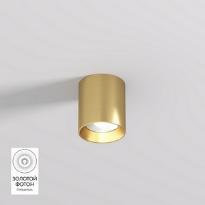 Потолочный светильник точечный алюминиевые светодиодный Denkirs Shine Tube DK2610-SB 10W сатинированная латунь