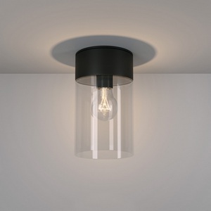 Уличный потолочный светильник IP43 Elektrostandard Atrani 35085/F