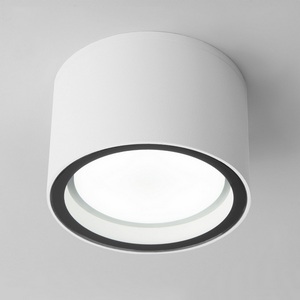 Потолочный светильник уличный IP54 35144/H Elektrostandard Light белый