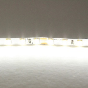 Светодиодная лента холодного белого свечения 24V Lightstar 420505