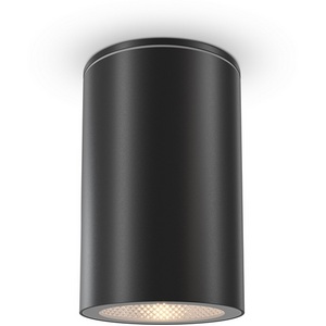 Потолочный светильник уличный IP54 Maytoni Roll O307CL-01B