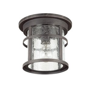 Потолочный светильник уличный IP44 Odeon Light Virta 4044/1C