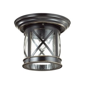 Потолочный светильник накладной уличный IP44 Odeon Light Sation 4045/1C