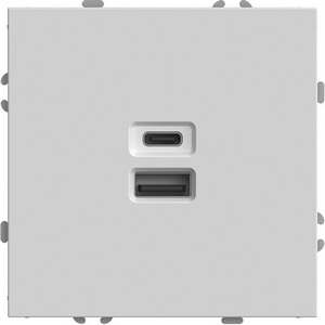 Розетка встраиваемая USB Type A+С (белый) Stekker Эмили 49879