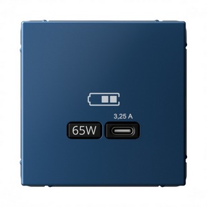 Розетка с быстрой зарядкой USB Type-C 65Вт (аквамарин) Systeme Electric GAL001127