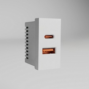 Модульная розетка USB тип A+C 45*22,5 (белый) Werkel W1272701 (a072528)